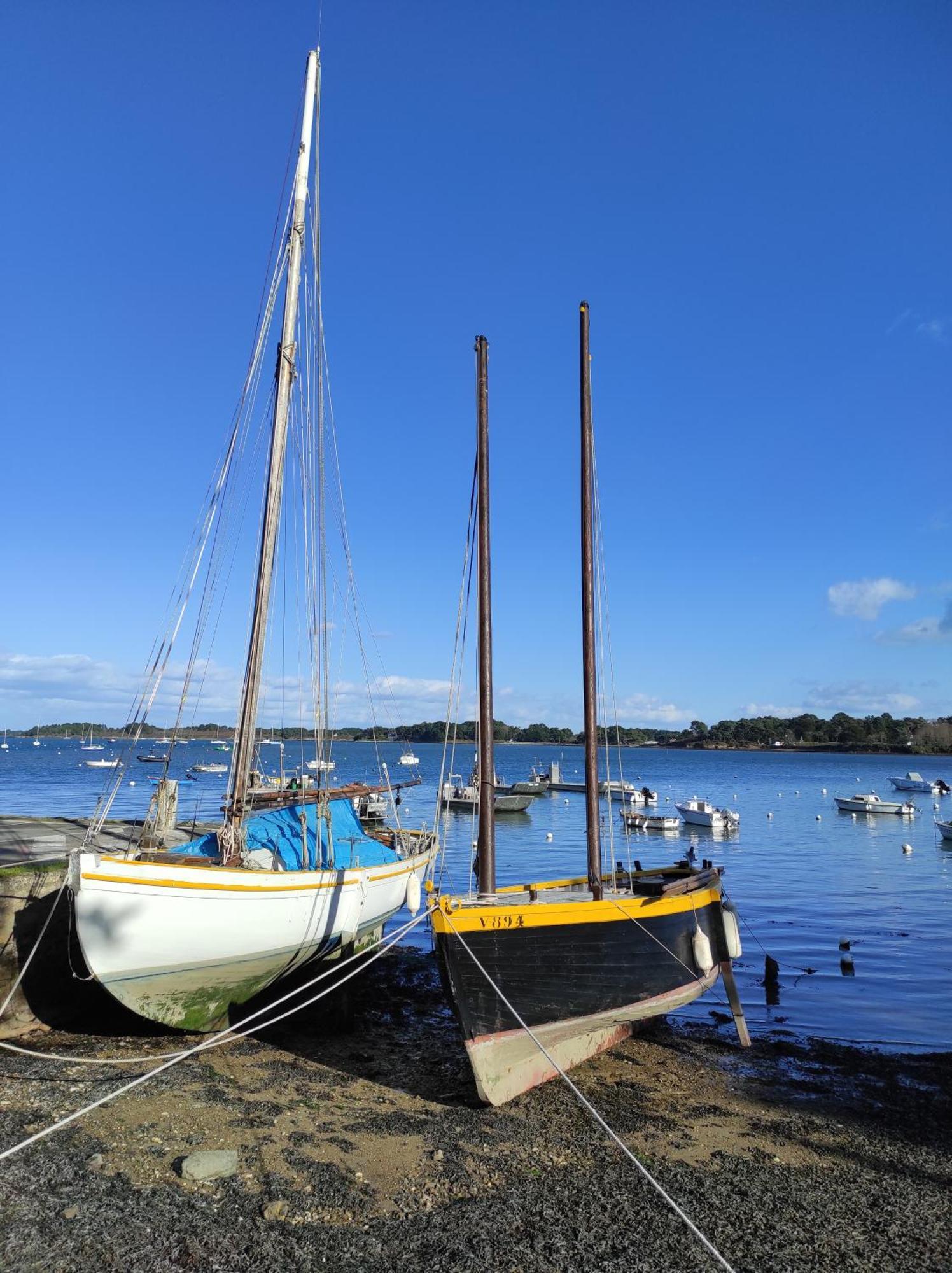 Hébergement de vacances La Slow Life - - Port Du Crouesty . Arzon