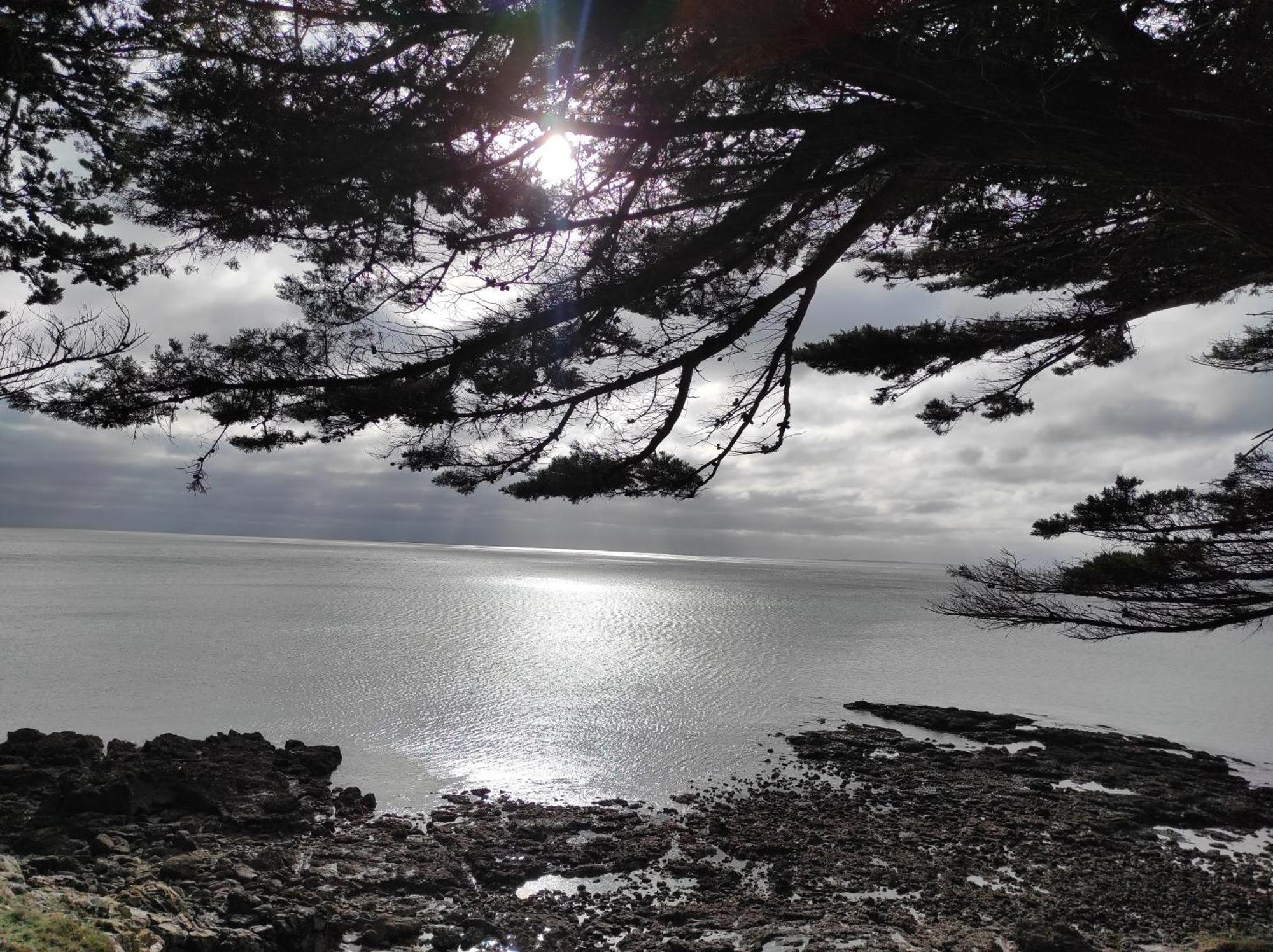 Hébergement de vacances La Slow Life - - Port Du Crouesty .