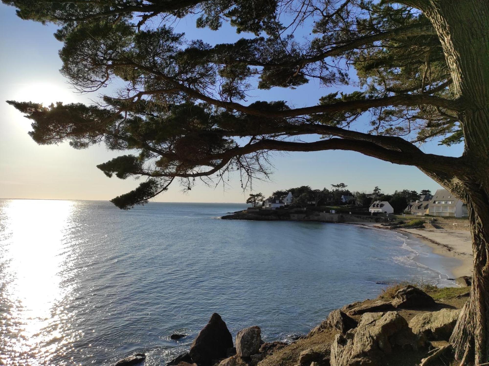 La Slow Life - - Port Du Crouesty . Hébergement de vacances